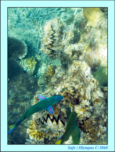 2008 - 07 - Leng Tengah - 084